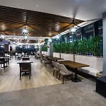 Hotel Radisson Blu Hotel, Mount