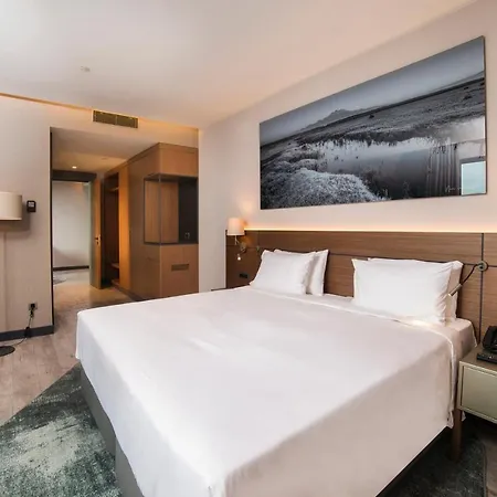 Radisson Blu Hotel, Mount Hotel