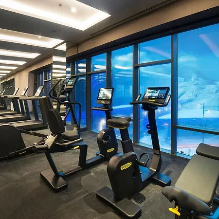 מלון Radisson Blu Hotel, Mount