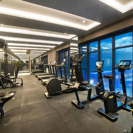 Szálloda Radisson Blu Hotel, Mount