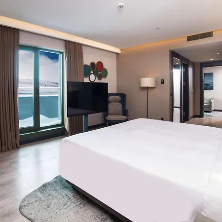 Hotel Radisson Blu Hotel, Mount