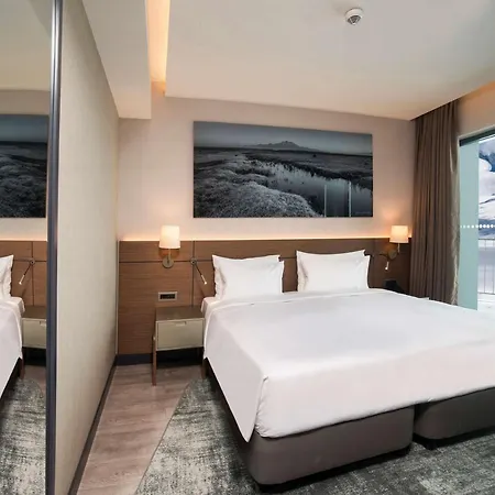 Radisson Blu Hotel, Mount Hotel