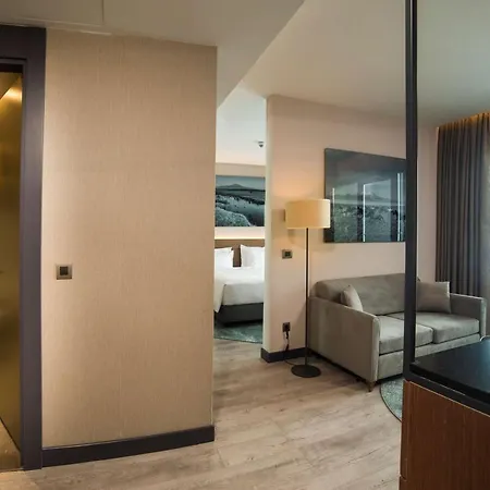 Radisson Blu Hotel, Mount מלון