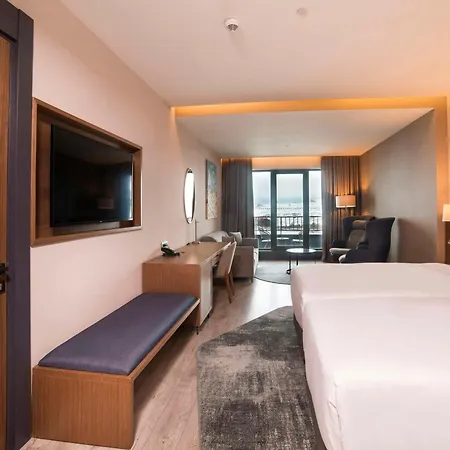 Hotel Radisson Blu Hotel, Mount