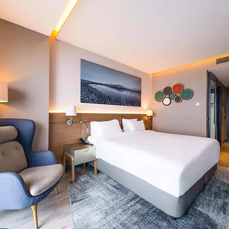 Radisson Blu Hotel, Mount