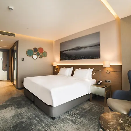 Radisson Blu Hotel, Mount