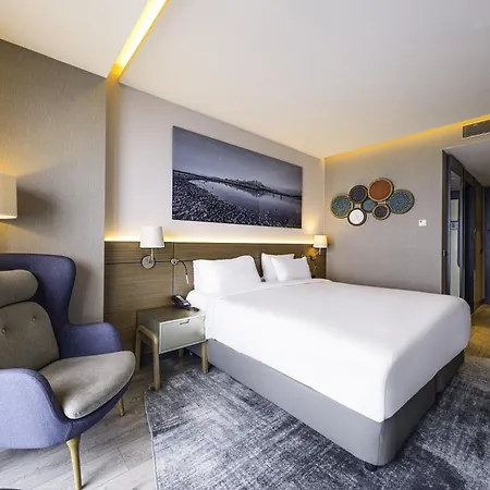 Hotel Radisson Blu Hotel, Mount