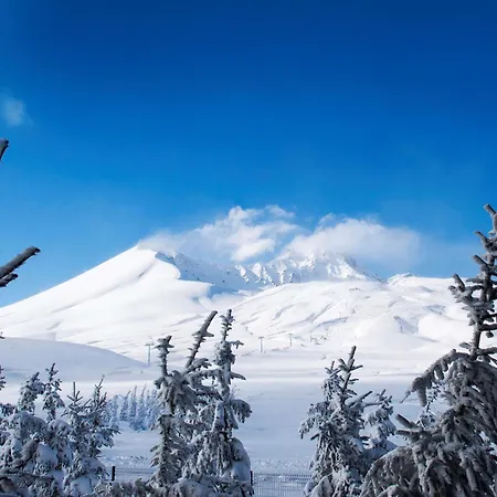 Radisson Blu Hotel, Mount