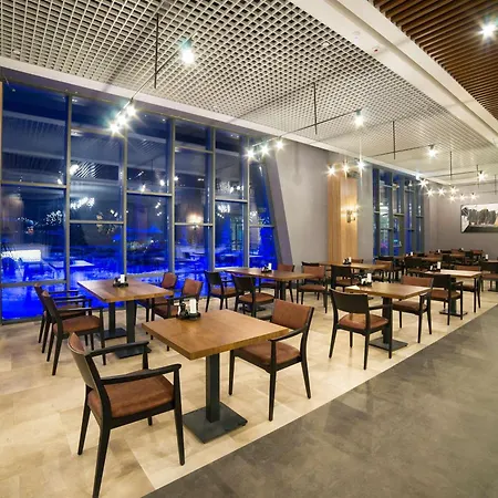 Hotel Radisson Blu Hotel, Mount