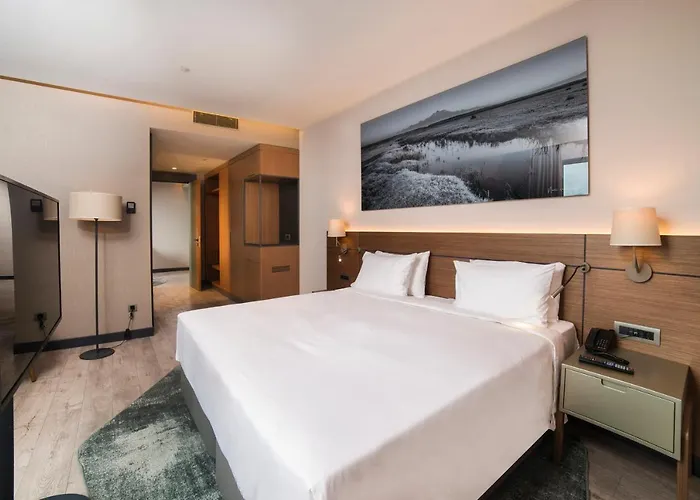 Radisson Blu Hotel, Mount Hotel