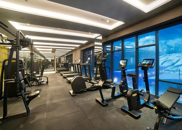 酒店 Radisson Blu Hotel, Mount