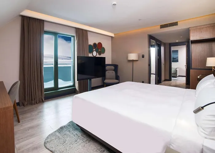 Hotel Radisson Blu Hotel, Mount