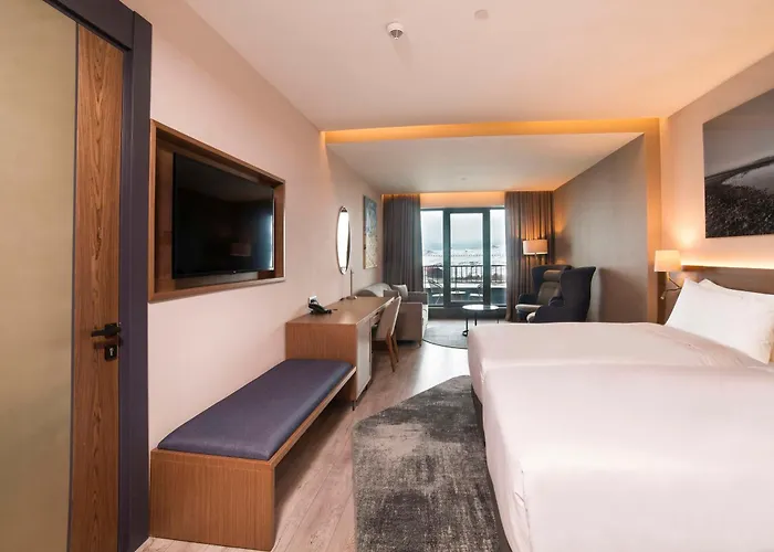 Hotel Radisson Blu Hotel, Mount