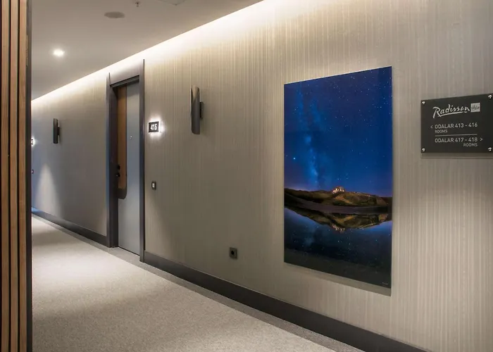 Hotel Radisson Blu Hotel, Mount 4*