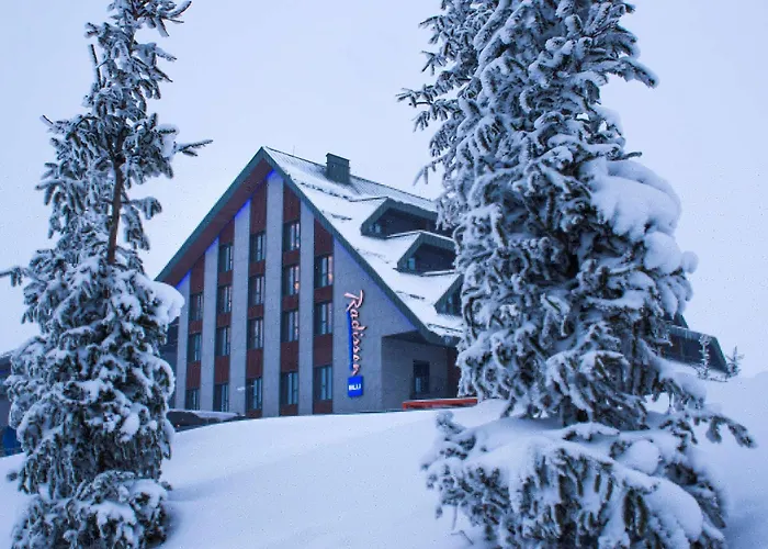 Hotel Radisson Blu Hotel, Mount