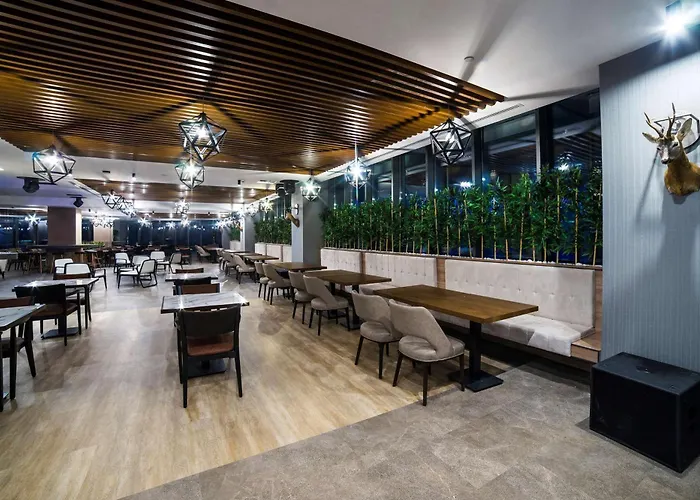 Radisson Blu Hotel, Mount