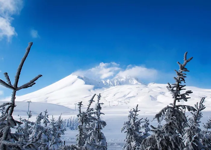 Radisson Blu Hotel, Mount