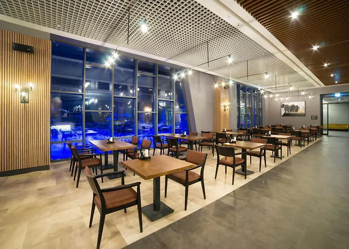 Hotel Radisson Blu Hotel, Mount