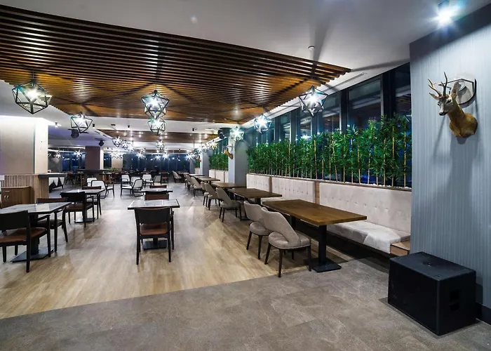 Hotel Radisson Blu Hotel, Mount