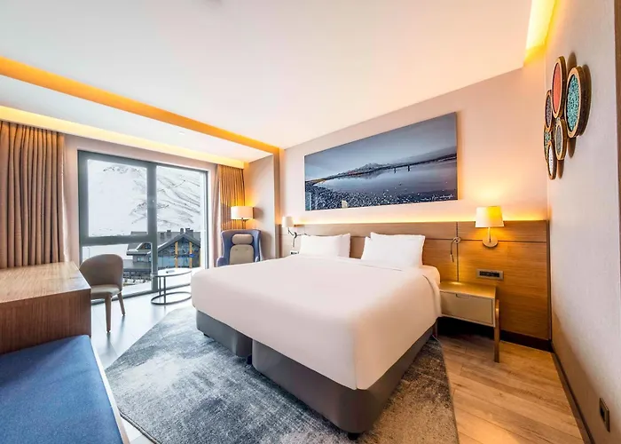 Hotel Radisson Blu Hotel, Mount